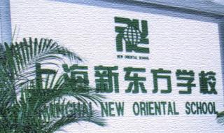 新东方出国留学咨询